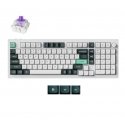 TAKTE WRL Q5 HE RGB/ČAULA BALTA Q5H-P1 KEYCHRON