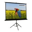 Celexon 1090020 projection screen 4:3 Celexon 1090020 projection screen 4:3