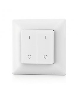 PF1-2 RF Remote Control, Single Color, 2 Zones