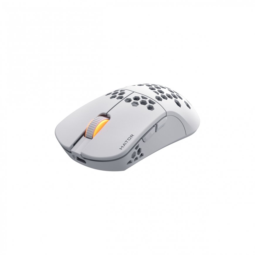 HATOR Stellar Pro Wireless mouse Gaming Right-hand RF Wireless + Bluetooth + USB Type-A Optical 2600 – 2