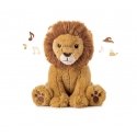 Cloud B Louis Lion