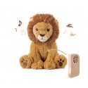 Cloud B Louis Lion