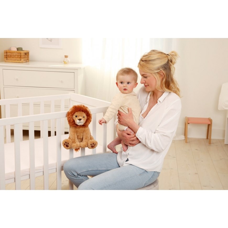 Cloud B Louis Lion – 4
