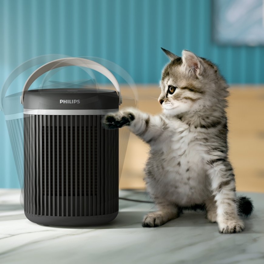 Philips Kompakti keraaminen lämmitin – 3