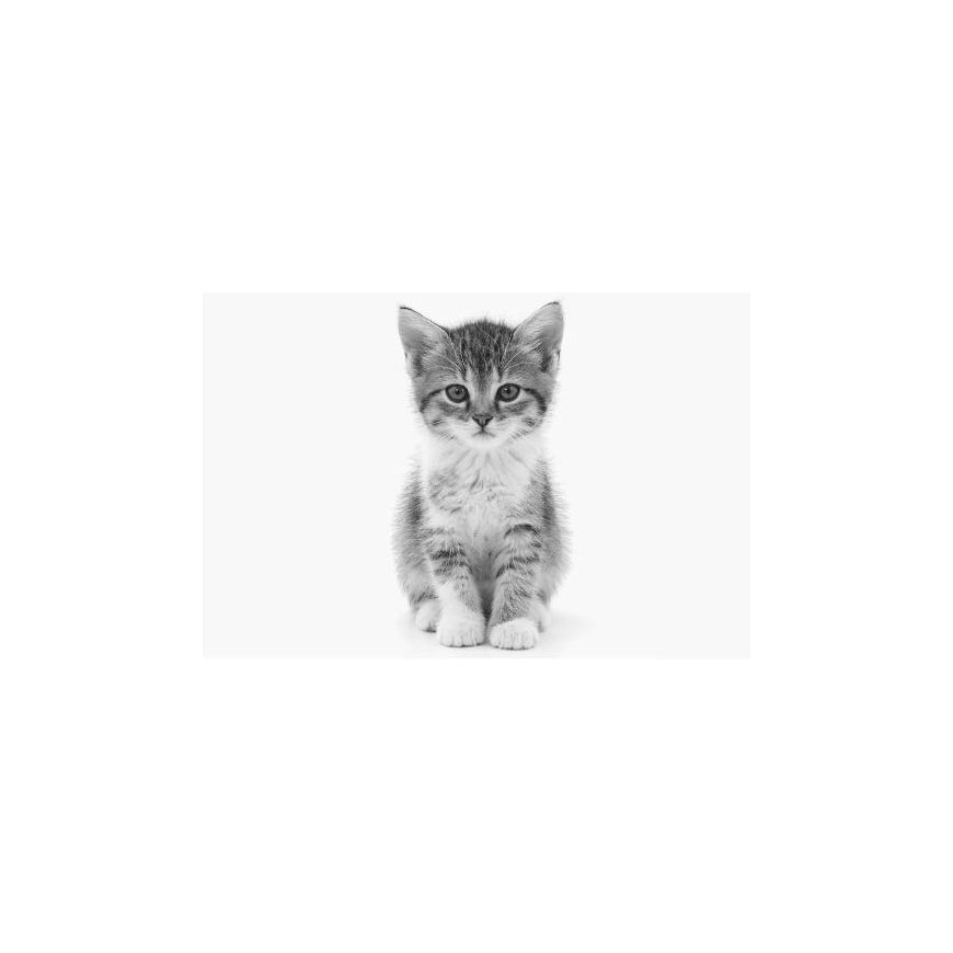 Guess 4G Big Logo -kotelo iPhone 17 Airille, vaaleanpunainen