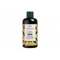 The Body Shop Banaanit Todella kosteuttava shampoo - Kosteuttava shampoo - 250 ml