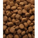 Versele-Laga 5410340380178 suņu sausā barība 20 kg Jēra gaļa, Rīsi Versele-Laga 5410340380178 suņu sausā barība 20 kg Jēra gaļa, Rīsi