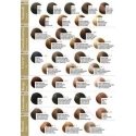 Fanola Oro Therapy Color Keratin Oro Puro professional permanent Fanola Oro Therapy Color Keratin Oro Puro professional permanent