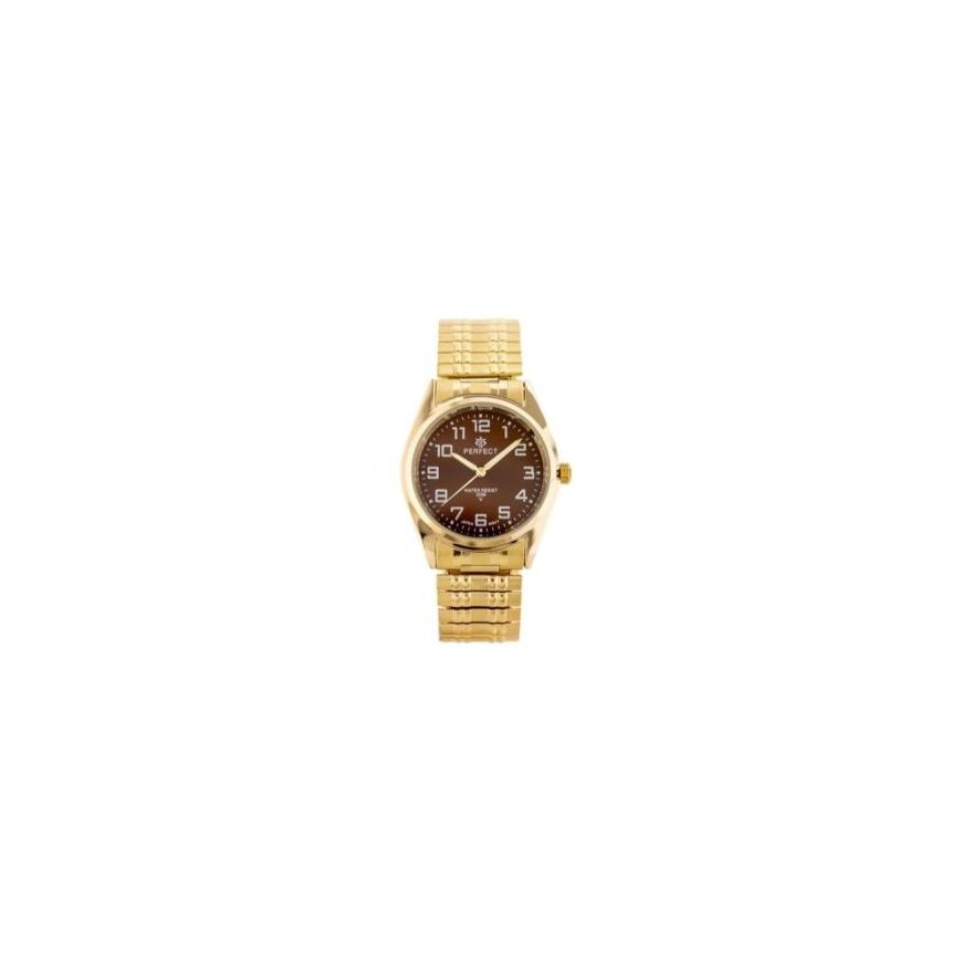 Laikrodis PERFECT X018-12