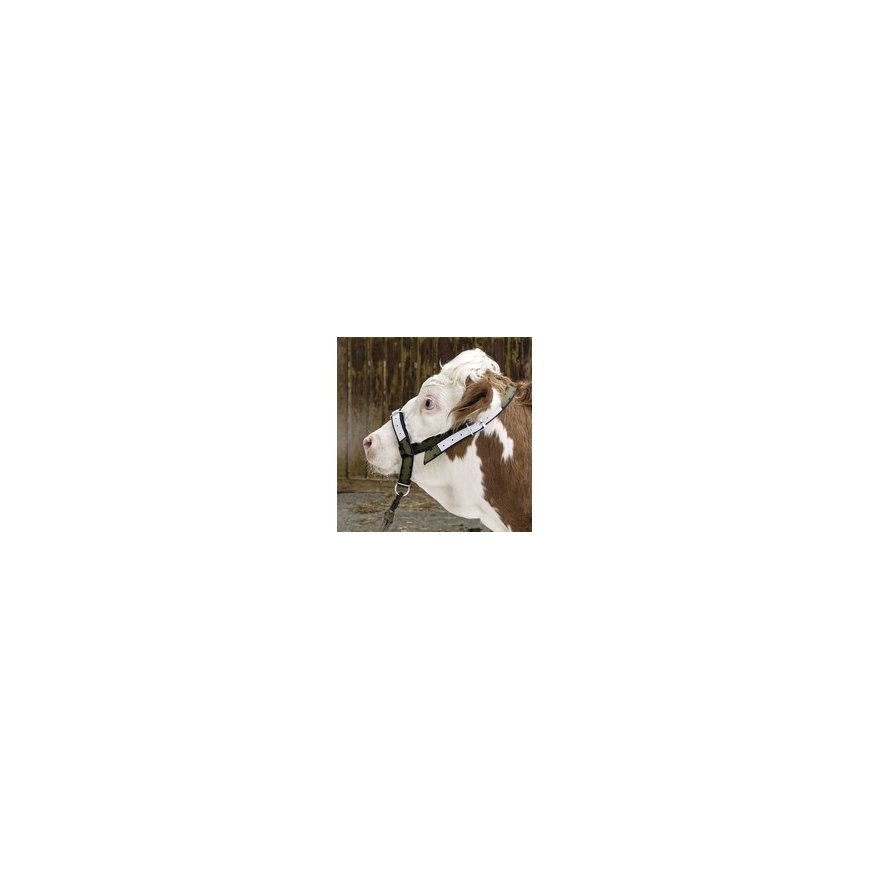 Ulanzi CO72 puhastuskomplekt APS-C anduritele – 2