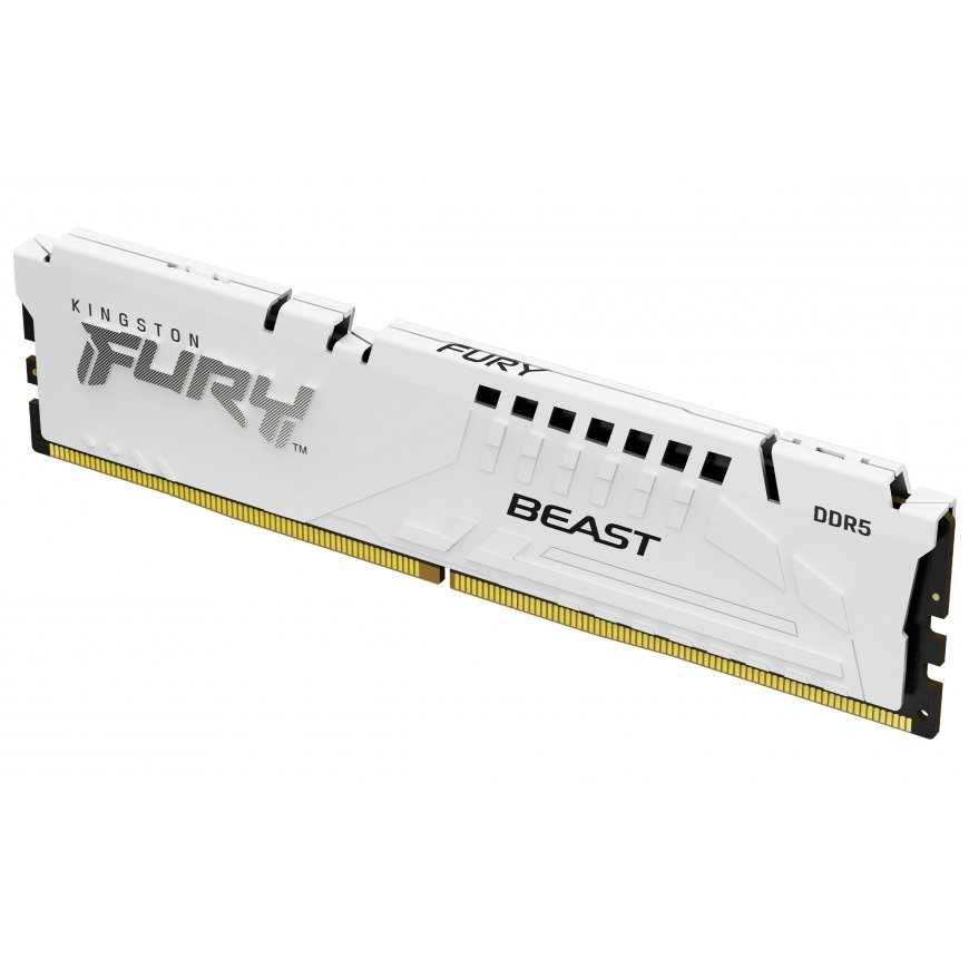 Kingston Technology Kingston Technology FURY Beast