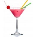 Royal Leerdam DEIMANTINIAI MARTINI GLASSES 260ML 0102003136 Royal Leerdam DEIMANTINIAI MARTINI GLASSES 260ML 0102003136