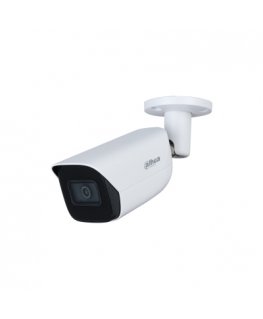 Dahua Technology WizSense IPC-HFW3841E-S-S2 security camera