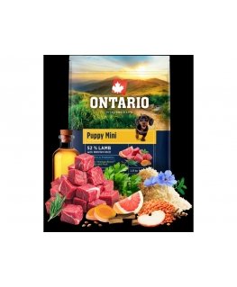 Ontario kucēnu mini jēra gaļa un brūnie rīsi 2.25kg