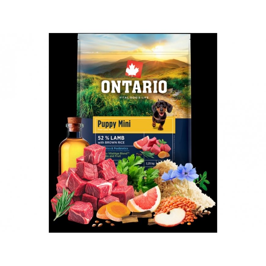 Ontario Puppy Mini lammas & Ruskea riisi 2.25kg