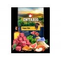 Ontario Puppy Mini lambaliha & pruun riis 2.25kg