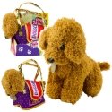 Lean Toys Poodle Dog in Velcro Bag, Soft Toy, light brown Lean Toys Poodle Dog in Velcro Bag, Soft Toy, light brown