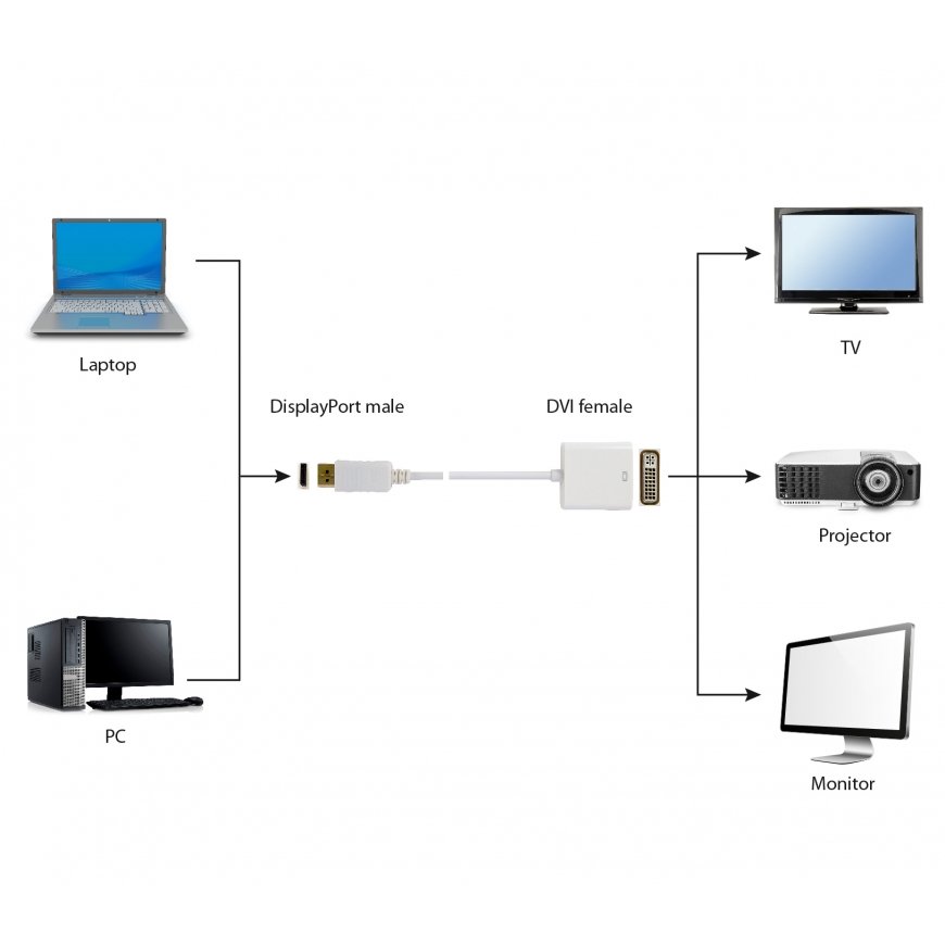Gembird A-DPM-DVIF-03-W видео кабель адаптер 0,1 m DisplayPort DVI Черный – 2
