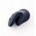 Gembird MUSW-ERGO-03 компьютерная мышь Дома Для правой руки Беспроводной RF Оптический 1600 DPI Gembird MUSW-ERGO-03 компьютерная мышь Дома Для правой руки Беспроводной RF Оптический 1600 DPI