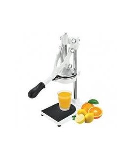 Professional multifunctional citrus juicer ZYLE ZY503WCJ, white