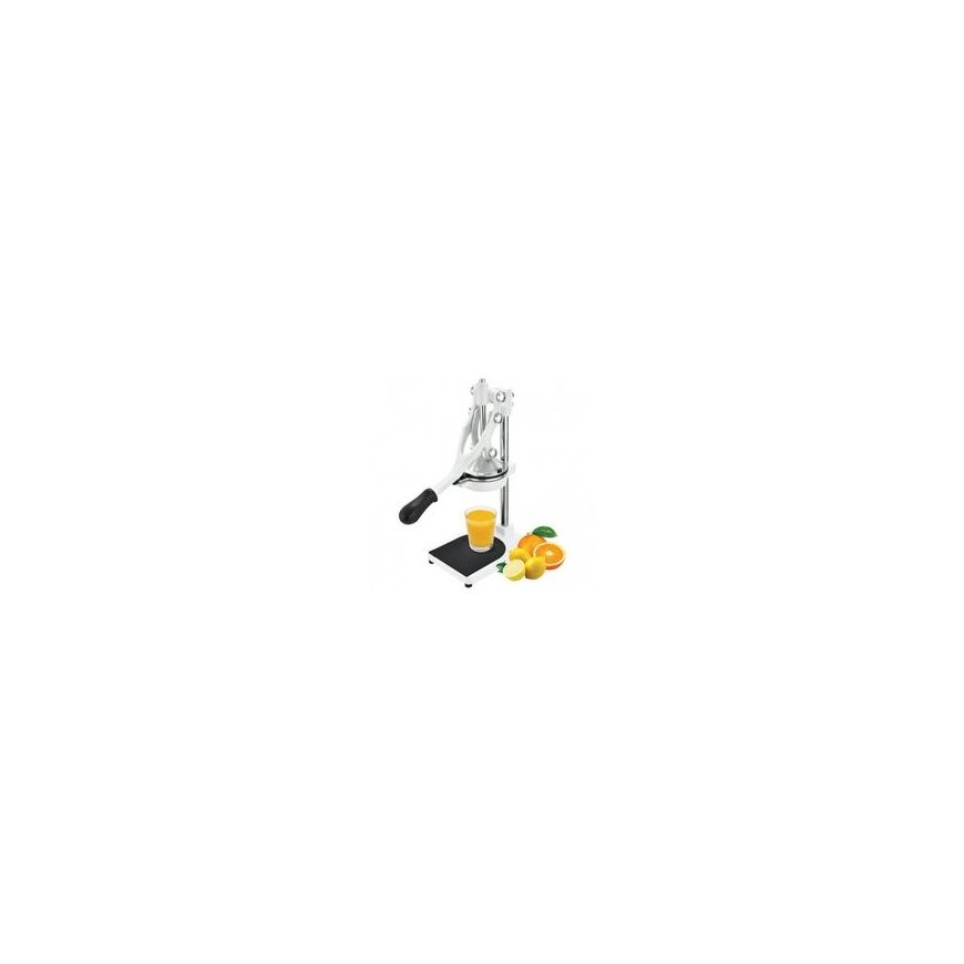Professional multifunctional citrus juicer ZYLE ZY503WCJ, white