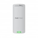Ruijie Networks RG-EST100-E WLAN-tukiasema 300 Mbit/s Valkoinen Power over Ethernet -tuki
