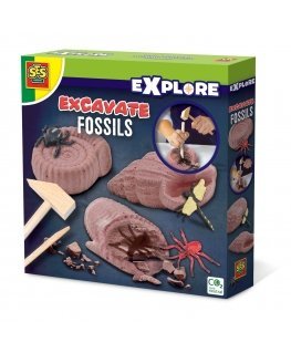 SES Creative Explore Excavate fossils