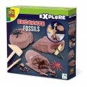 SES Creative Explore Excavate fossils SES Creative Explore Excavate fossils