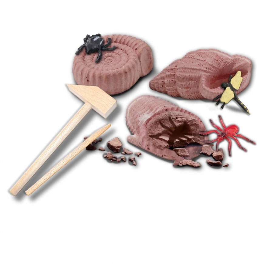 SES Creative Explore Excavate fossils – 2