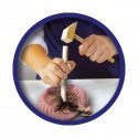 SES Creative Explore Excavate fossils SES Creative Explore Excavate fossils