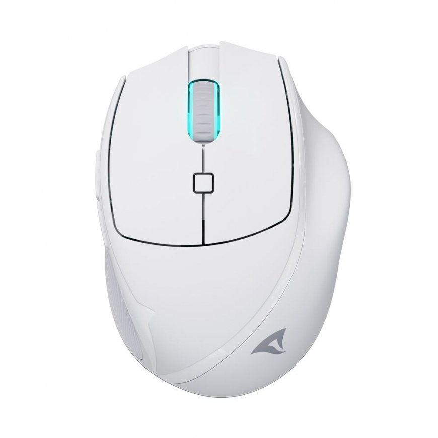 Sharkoon OfficePal M25W kompiuterio pelė Žaidimams Dešinės rankos RF Wireless + USB Type-C Optinis 4