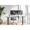 Neomounts FPMA-D1330DSILVER monitora stiprinājums un statīvs 68,6 cm (27") Galds Sudrabs Neomounts FPMA-D1330DSILVER monitora stiprinājums un statīvs 68,6 cm (27") Galds Sudrabs