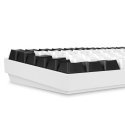 Sharkoon SKILLER SGK50 S3 klaviatuur Mängimine USB QWERTZ Saksa keel Valge