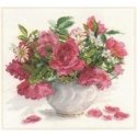 Alisa Beldizart Rožės veebilehel S2-50 Alisa Beldizart Rožės veebilehel S2-50