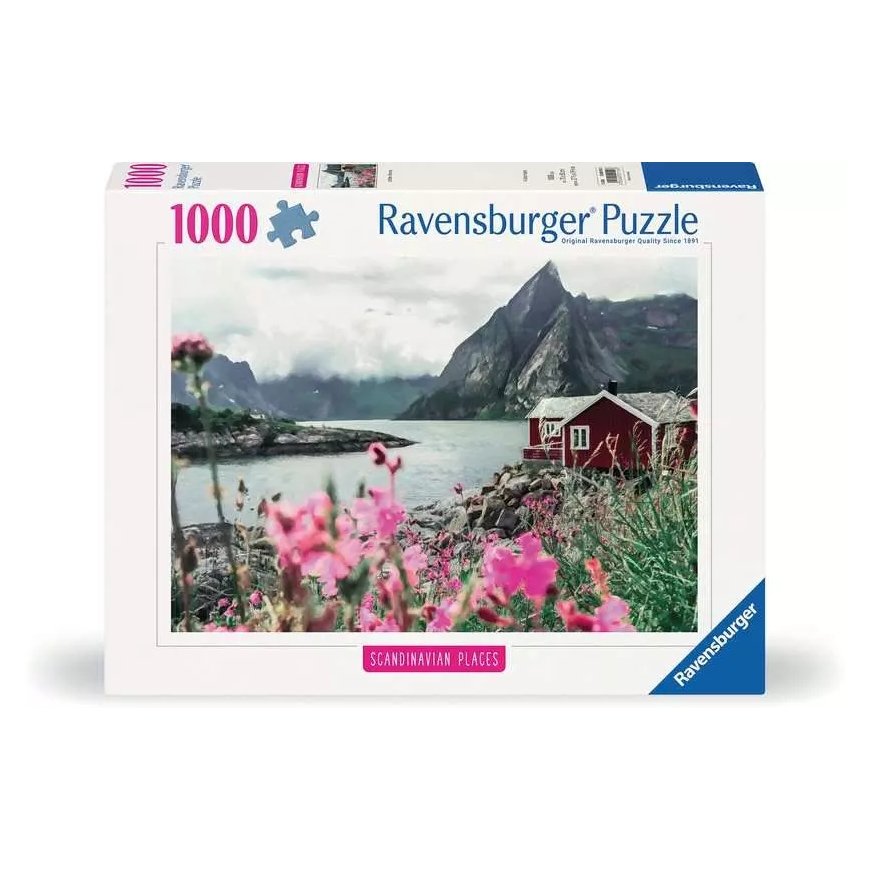 Ravensburger 12000112 Jigsaw puzzle 1000 pc(s) Other