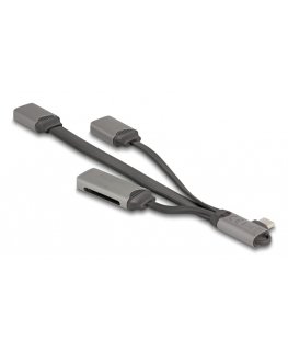 DeLOCK 64303 хаб-разветвитель USB 3.2 Gen 1 (3.1 Gen 1) Type-C 5000 Мбит/с Серый