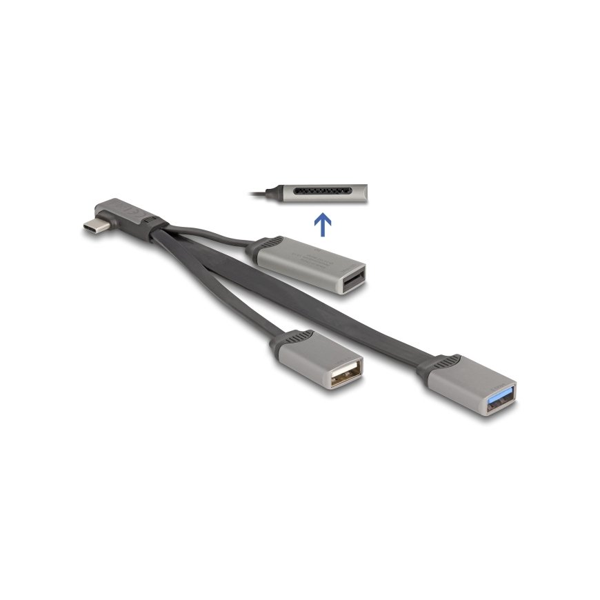 DeLOCK 64303 sąsajos šakotuvas USB 3.2 Gen 1 (3.1 Gen 1) Type-C 5000 Mbit/ai Pilka – 2