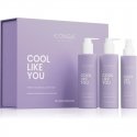 Iconique Professional 'Cool Like You' – 'Awesome and Shining Blondes' gift set