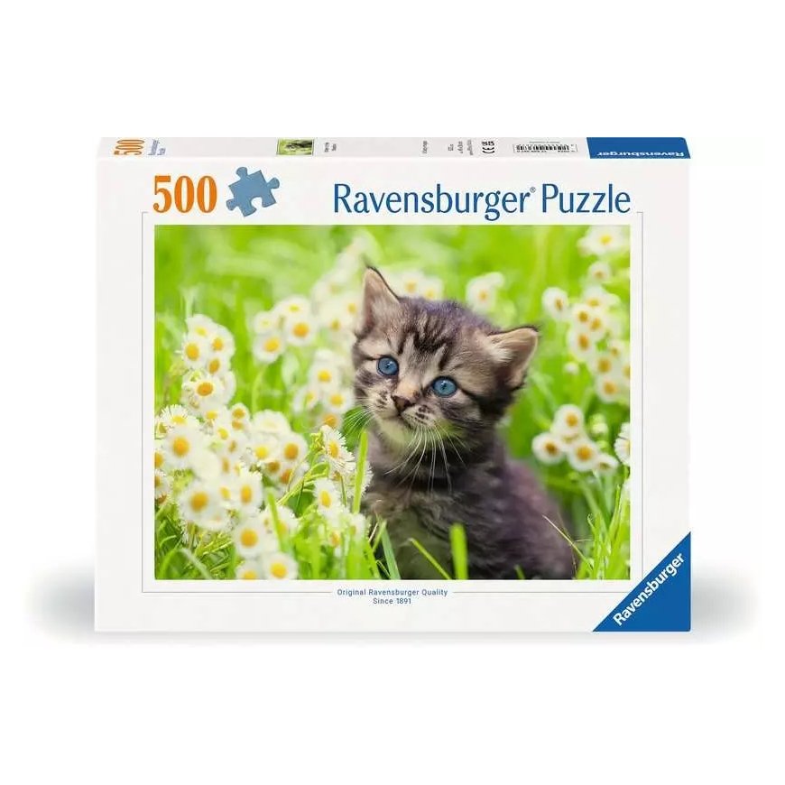 Ravensburger 12000367 Puzle 500 pcs Cits
