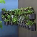 The "GreenBlue" smart indoor plant growing system, smart pot, 4 L capacity, 220–240 V AC, 50/60 Hz, 0.4 A, GB133 The "GreenBlue" smart indoor plant growing system, smart pot, 4 L capacity, 220–240 V AC, 50/60 Hz, 0.4 A, GB133