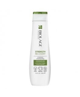 Шампунь Biolage для поврежденных волос «Strength Recovery» (шампунь)