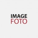 Focus Prestige Maxi 500 Must Focus Prestige Maxi 500 Must
