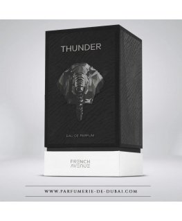 French Avenue Thunder Eau De Parfum 100 ml (man)