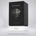 French Avenue Thunder Eau De Parfum 100 ml (man) French Avenue Thunder Eau De Parfum 100 ml (man)