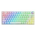 Savio Phenix WHITE GAT YEL PUD keyboard Gaming USB + Bluetooth QWERTY US International Savio Phenix WHITE GAT YEL PUD keyboard Gaming USB + Bluetooth QWERTY US International