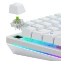 Glorious Gaming Glorious Raptor Clicky Mechanical Switches - 36 Pieces Glorious Gaming Glorious Raptor Clicky Mechanical Switches - 36 Pieces