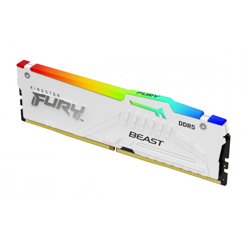 Kingston Technology Kingston Technology FURY Beast