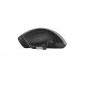 Gembird MUSW-6B-02-BG pele Birojs Labā roka RF Bezvadu Optisks 1600 DPI Gembird MUSW-6B-02-BG pele Birojs Labā roka RF Bezvadu Optisks 1600 DPI