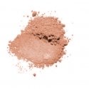 Clinique True Bronze Pressed Powder Bronzer sejas pūderis 9,6 g Sunkissed Clinique True Bronze Pressed Powder Bronzer sejas pūderis 9,6 g Sunkissed