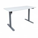 Home4You stalas ERGO LIGHT su 1 varikliu 120x60xH73-118cm, baltas/sidabrinis pilkas Home4You stalas ERGO LIGHT su 1 varikliu 120x60xH73-118cm, baltas/sidabrinis pilkas